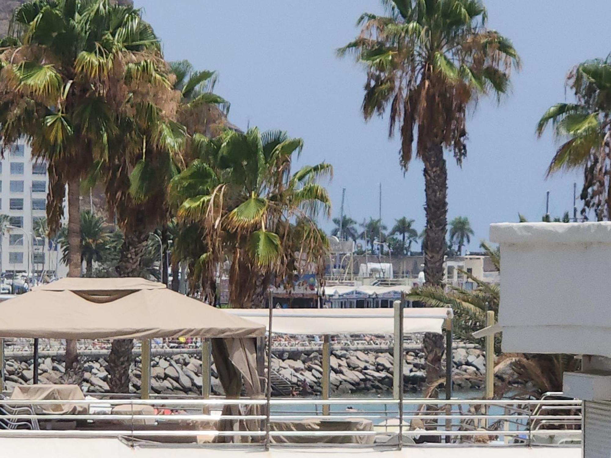Modern Ground Floor Apartment , A Few Steps From The Beach Mogán Esterno foto
